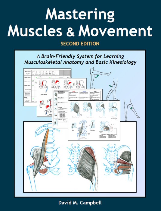 Mastering Muscles & Movement cover