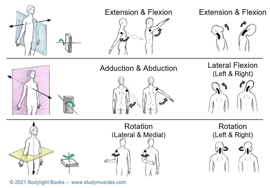 Planes and Their Associated Axes