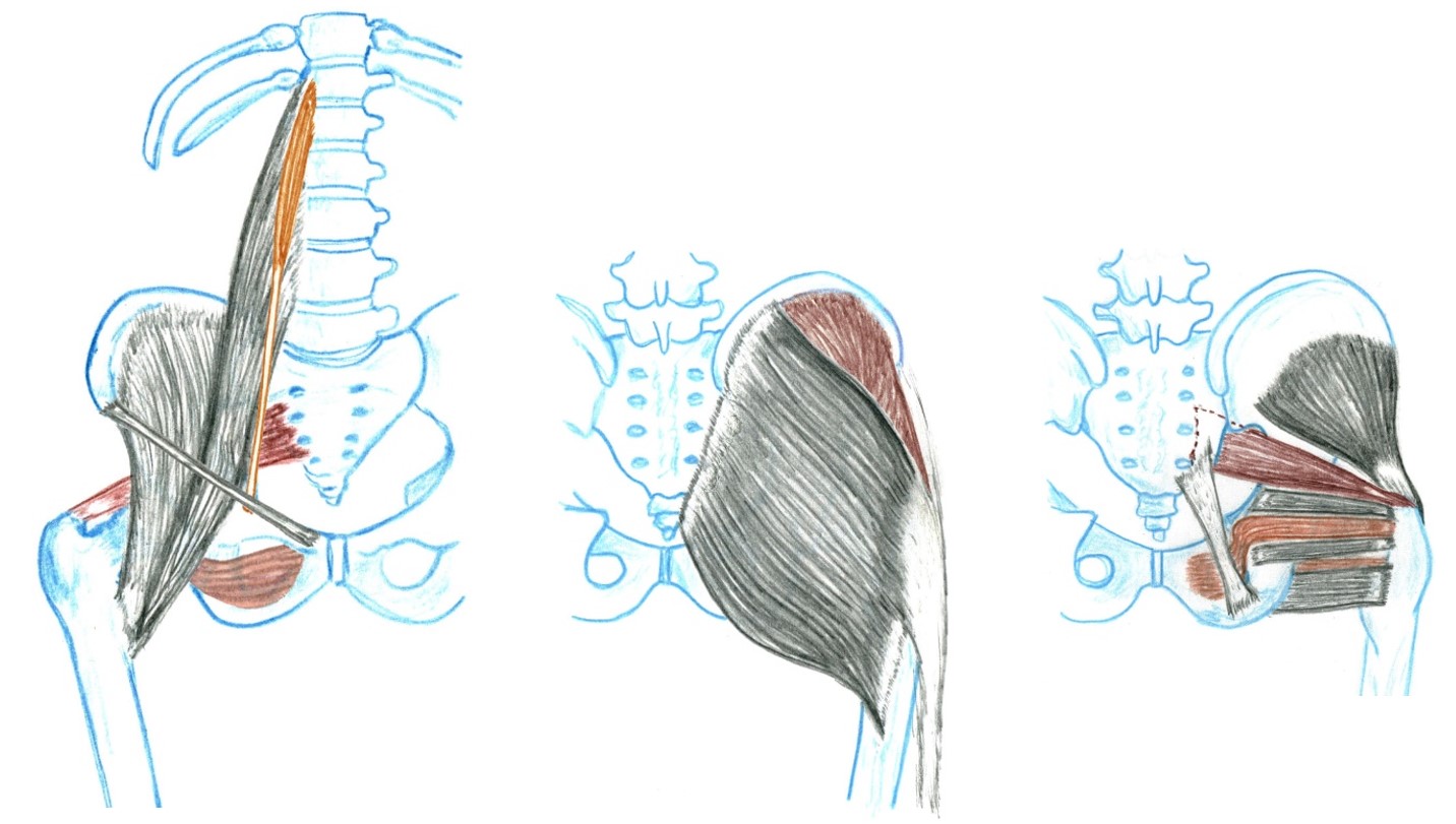 Muscle Group 10 - Overview
