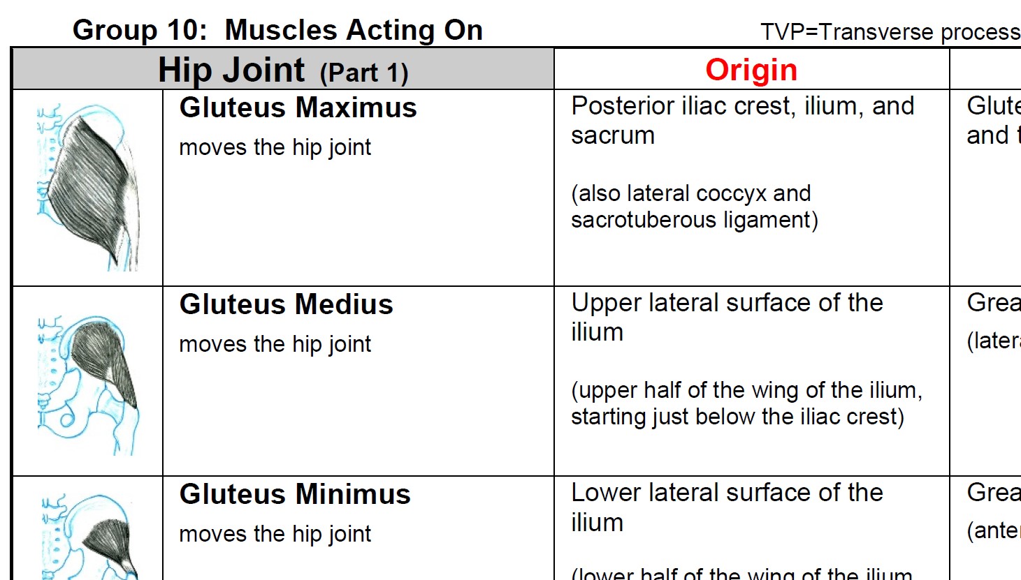Muscle Group 10 - A Table