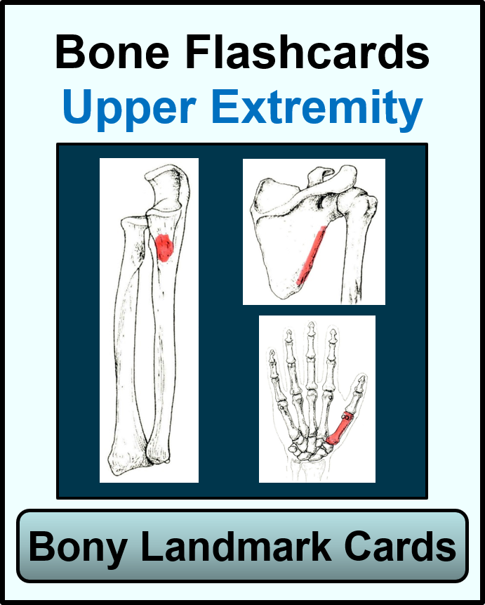 bone cards for upper extremity